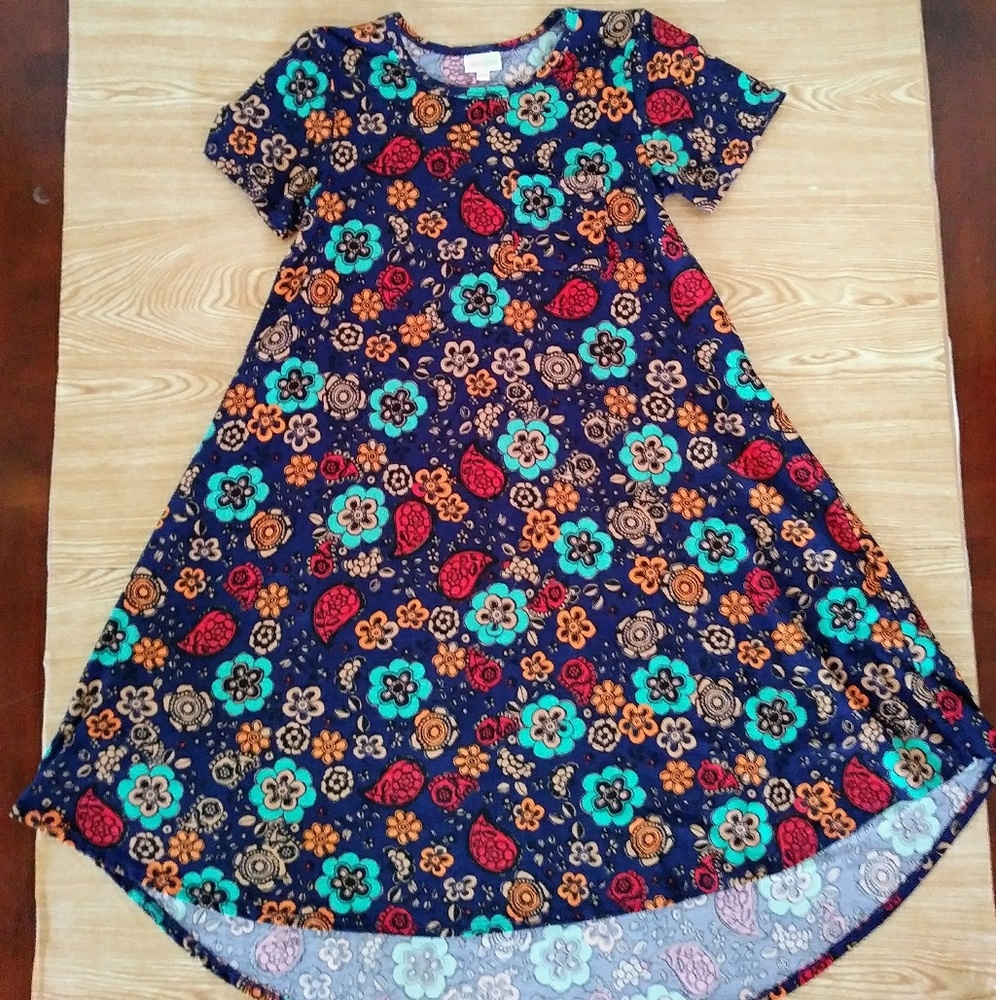 NWOT Lularoe carly floral dress. XXS